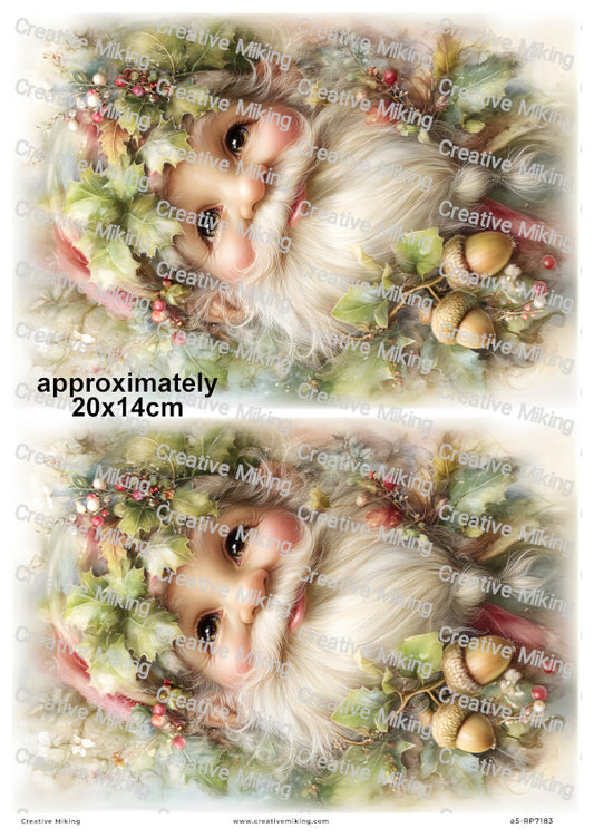 Oak Gnome Decoupage Rice Paper | RP7183