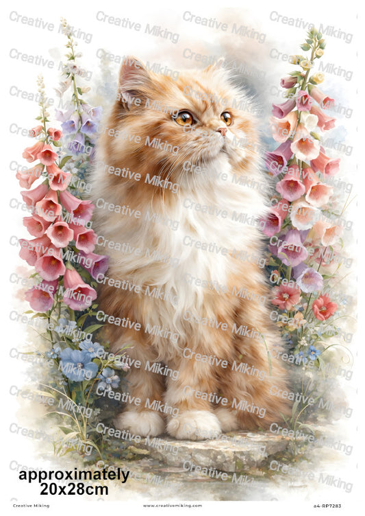 Persian Cat Decoupage Rice Paper | RP7283