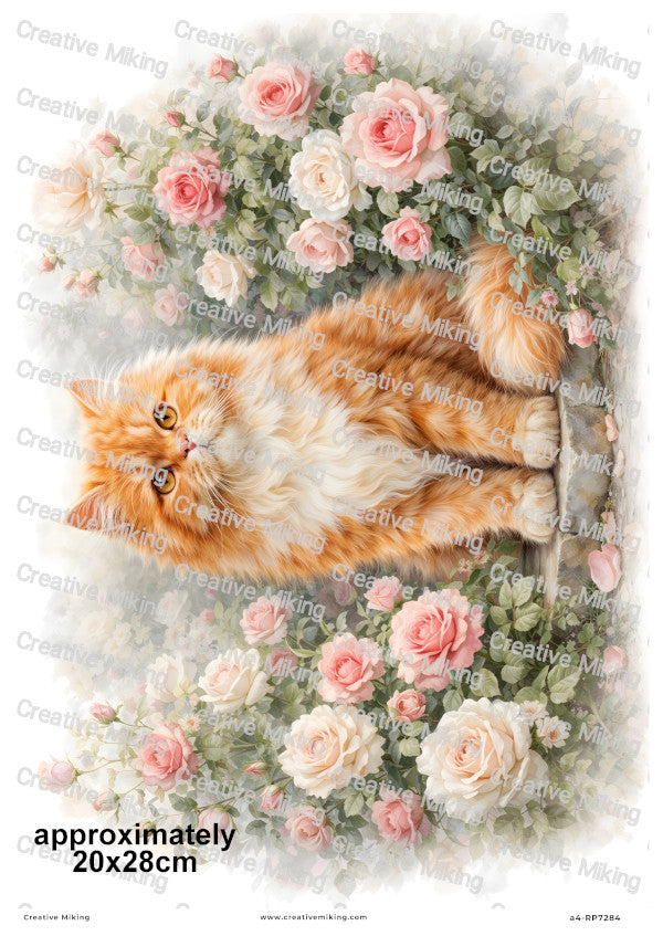Persian Cat Decoupage Rice Paper | RP7284