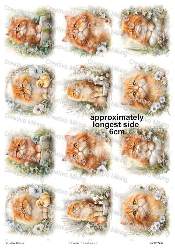Persian Cat Decoupage Rice Paper | RP7287
