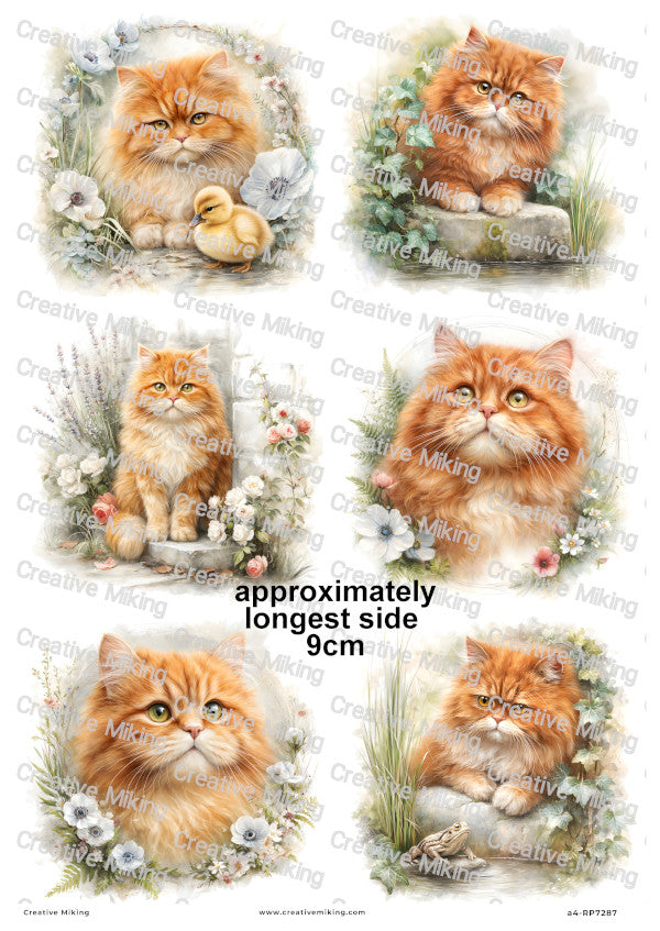 Persian Cat Decoupage Rice Paper | RP7287