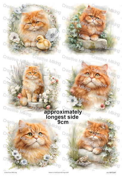 Persian Cat Decoupage Rice Paper | RP7287