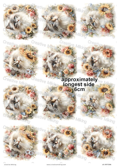 Persian Cat Decoupage Rice Paper | RP7288