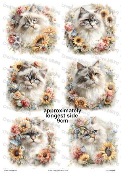 Persian Cat Decoupage Rice Paper | RP7288