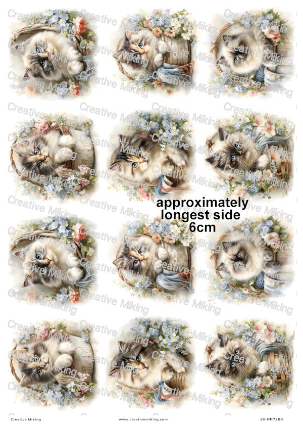 Persian Cat Decoupage Rice Paper | RP7289