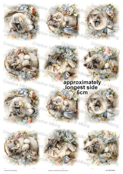 Persian Cat Decoupage Rice Paper | RP7289