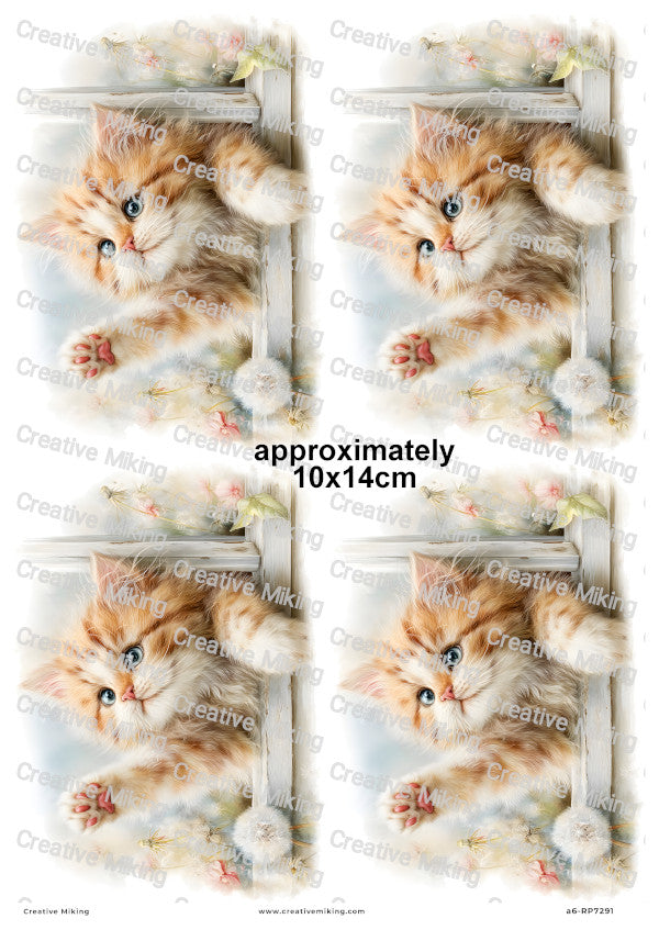 Persian Cat Decoupage Rice Paper | RP7291