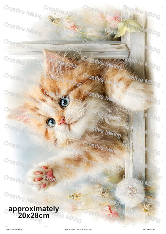 Persian Cat Decoupage Rice Paper | RP7291