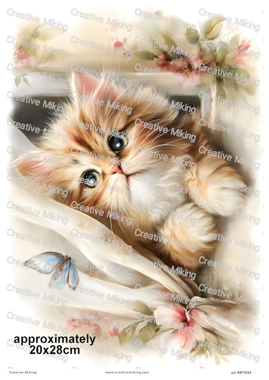 Persian Cat Decoupage Rice Paper | RP7293