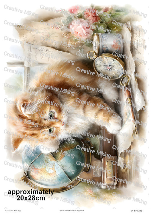Persian Cat Decoupage Rice Paper | RP7295
