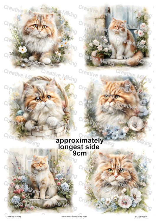 Persian Cat Decoupage Rice Paper | RP7297