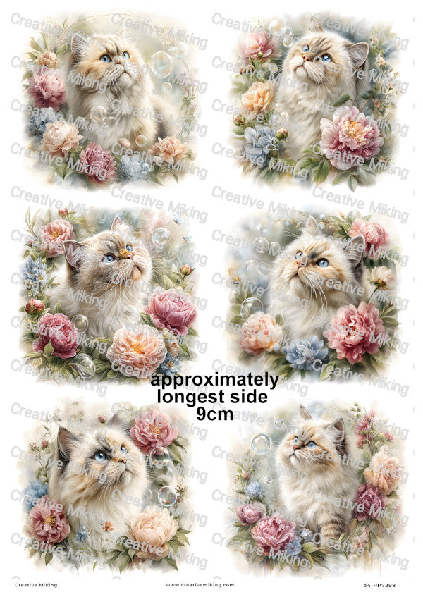 Persian Cat Decoupage Rice Paper | RP7298