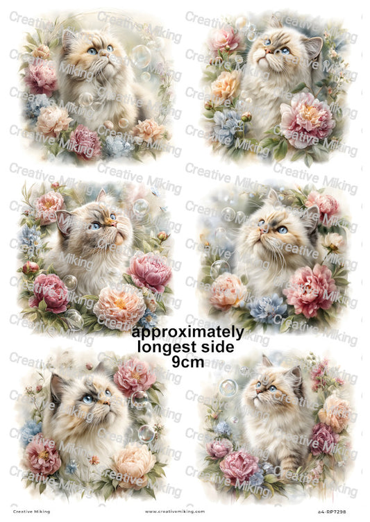 Persian Cat Decoupage Rice Paper | RP7298