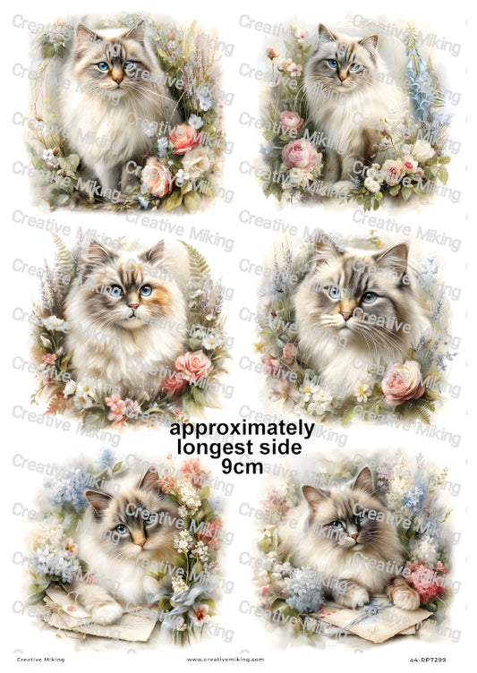Persian Cat Decoupage Rice Paper | RP7299
