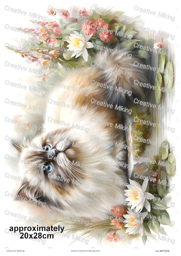 Persian Cat Decoupage Rice Paper | RP7300