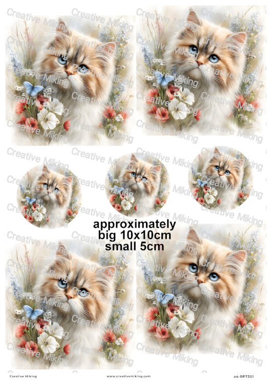 Persian Cat Decoupage Rice Paper | RP7301