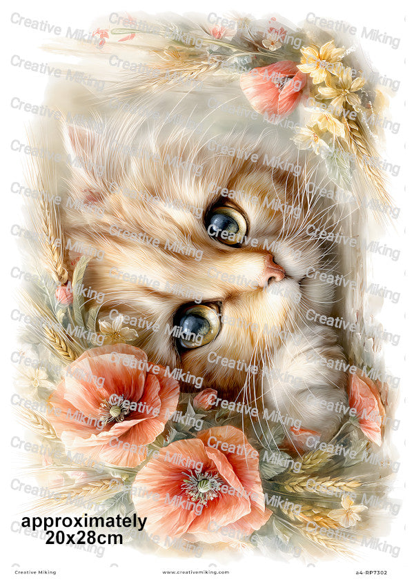 Persian Cat Decoupage Rice Paper | RP7302
