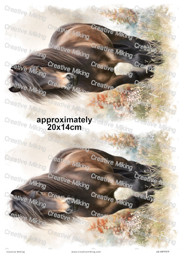 Dartmoor Pony Decoupage Rice Paper | RP7317