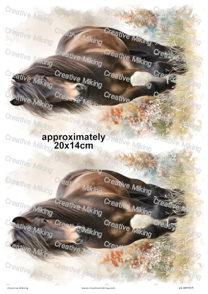 Dartmoor Pony Decoupage Rice Paper | RP7317