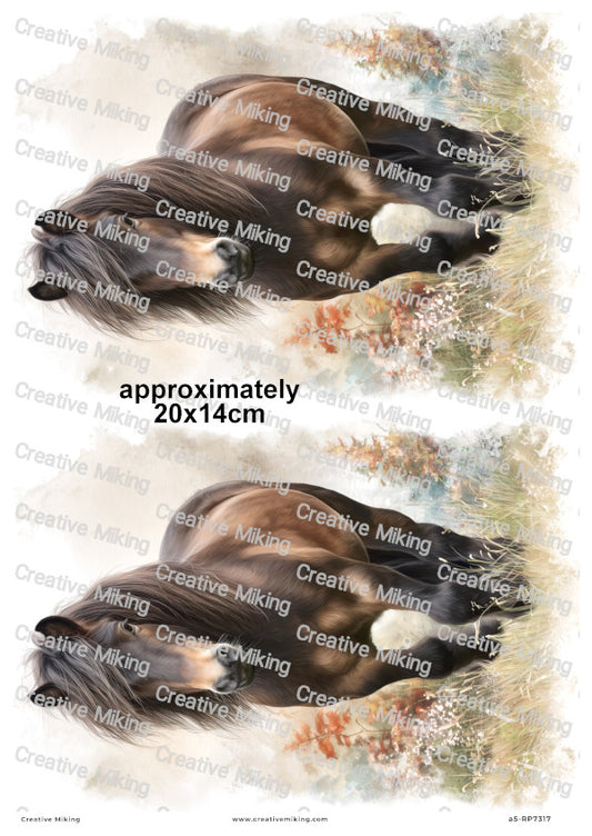Dartmoor Pony Decoupage Rice Paper | RP7317