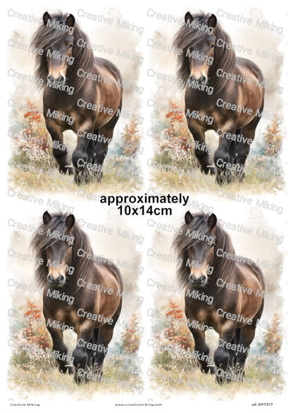 Dartmoor Pony Decoupage Rice Paper | RP7317