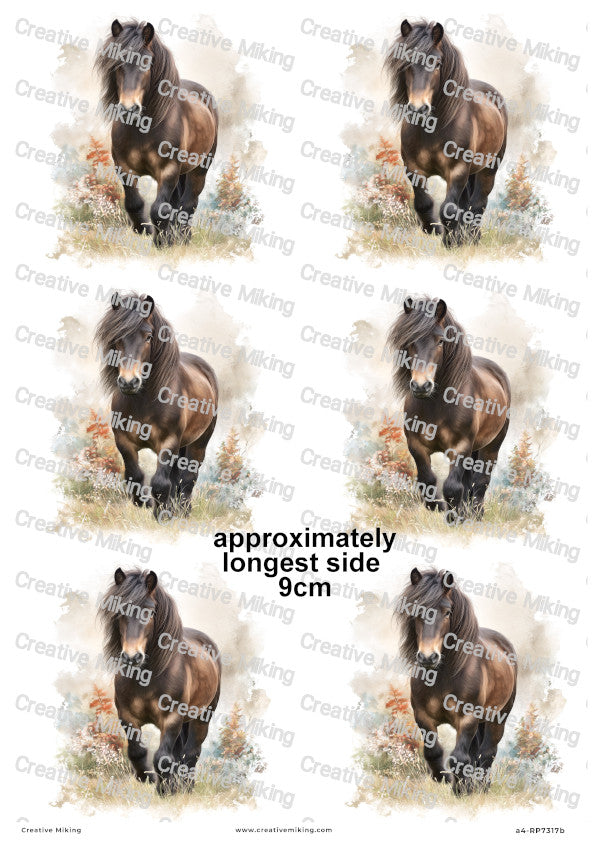 Dartmoor Pony Decoupage Rice Paper | RP7317b