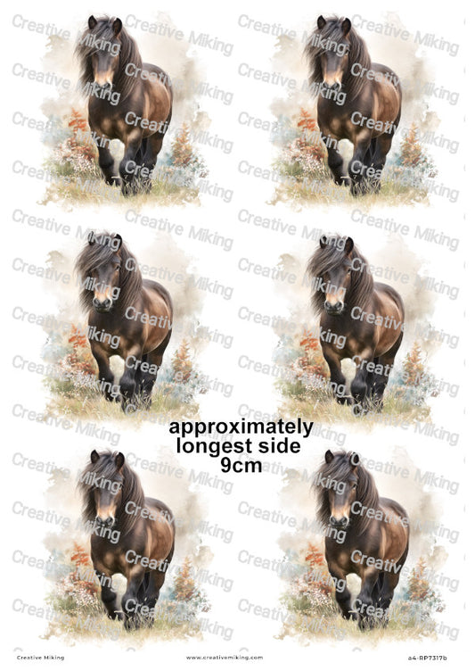 Dartmoor Pony Decoupage Rice Paper | RP7317b