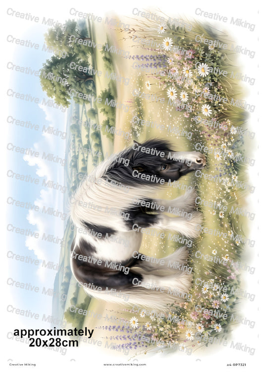 Black And White Pony With Wildflowers Decoupage Rice Paper | RP7321