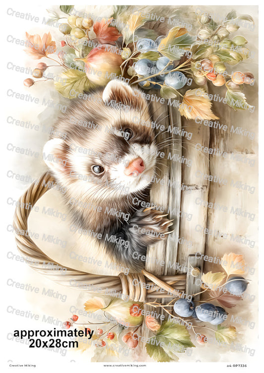 Ferret Decoupage Rice Paper | RP7336