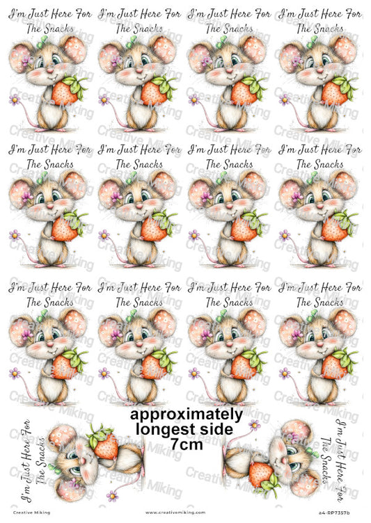 Mouse With Strawberry Funny Decoupage Rice Paper | RP7357b