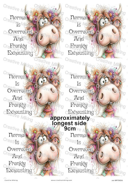 Quirky Highland Cow Funny Decoupage Rice Paper | RP7363d