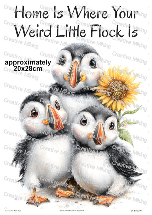 Puffin Family Funny Decoupage Rice Paper | RP7371