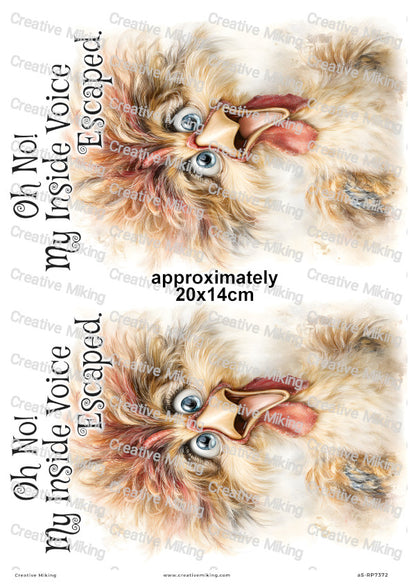 Chicken Funny Decoupage Rice Paper | RP7372
