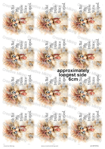 Chicken Funny Decoupage Rice Paper | RP7372c