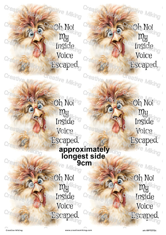 Chicken Funny Decoupage Rice Paper | RP7372c