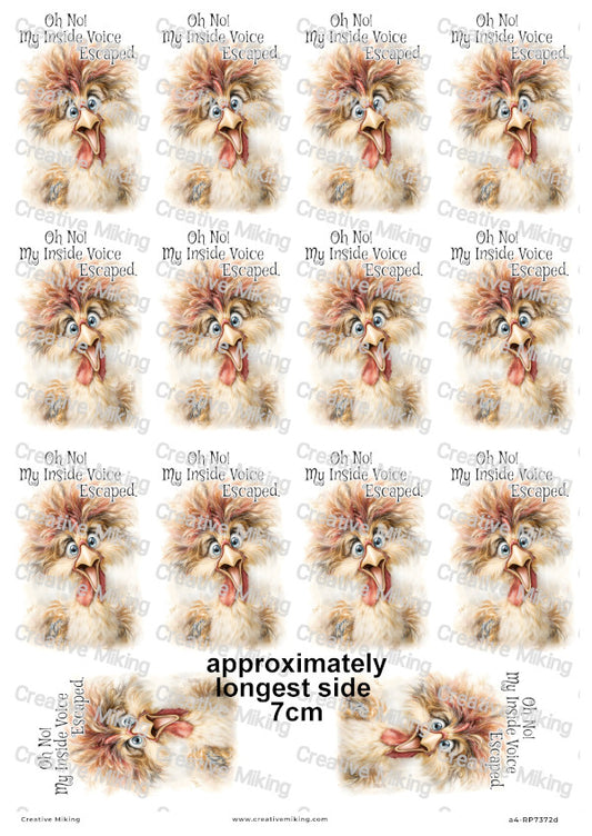 Chicken Funny Decoupage Rice Paper | RP7372d