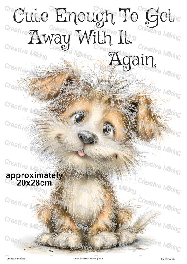 Dog Funny Decoupage Rice Paper | RP7375