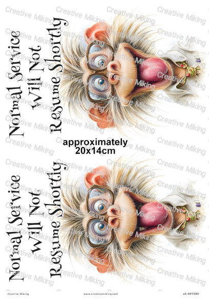 Silly Monkey Funny Decoupage Rice Paper | RP7383