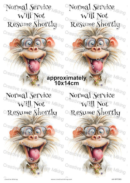 Silly Monkey Funny Decoupage Rice Paper | RP7383