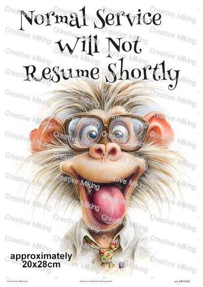 Silly Monkey Funny Decoupage Rice Paper | RP7383