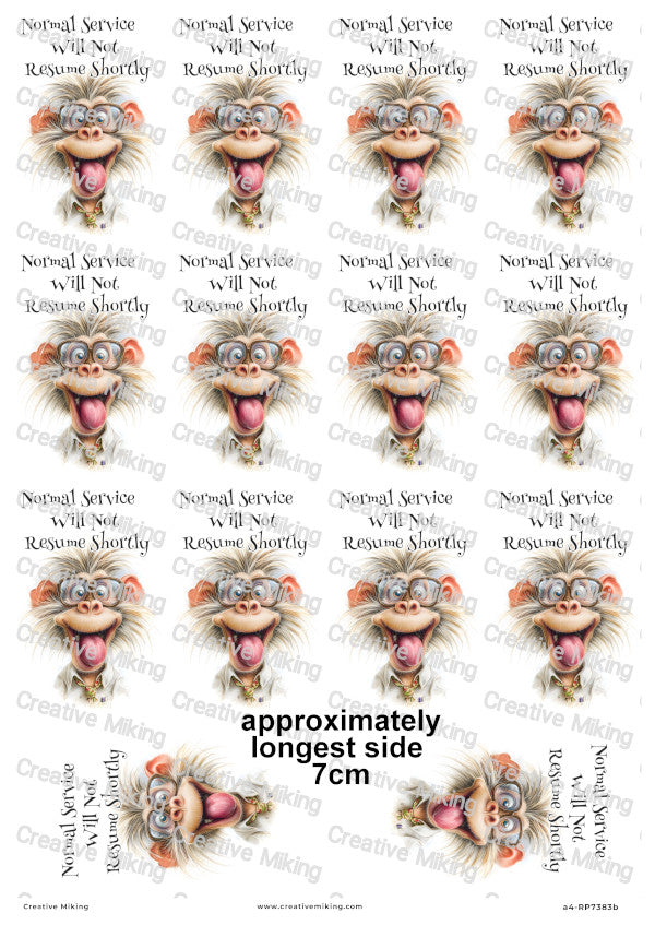 Silly Monkey Funny Decoupage Rice Paper | RP7383b