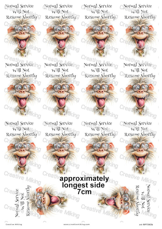 Silly Monkey Funny Decoupage Rice Paper | RP7383b