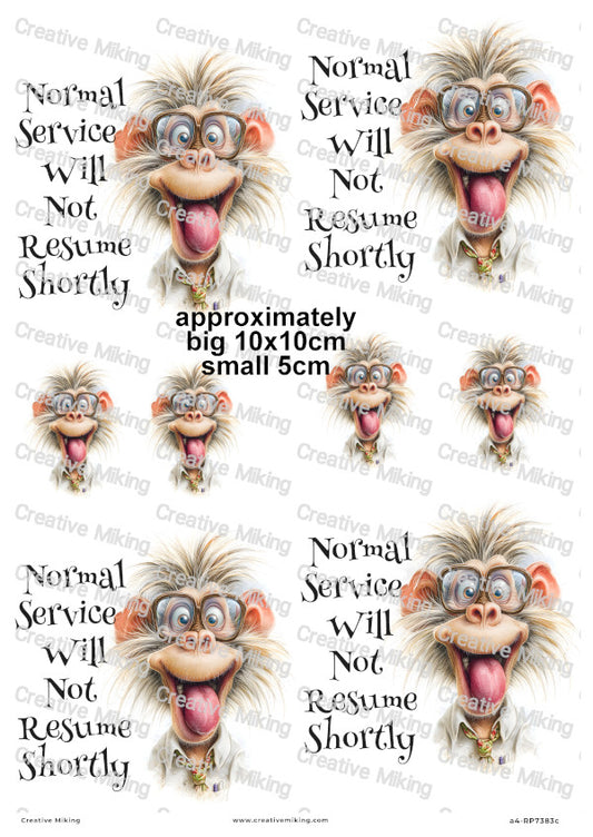 Silly Monkey Funny Decoupage Rice Paper | RP7383c