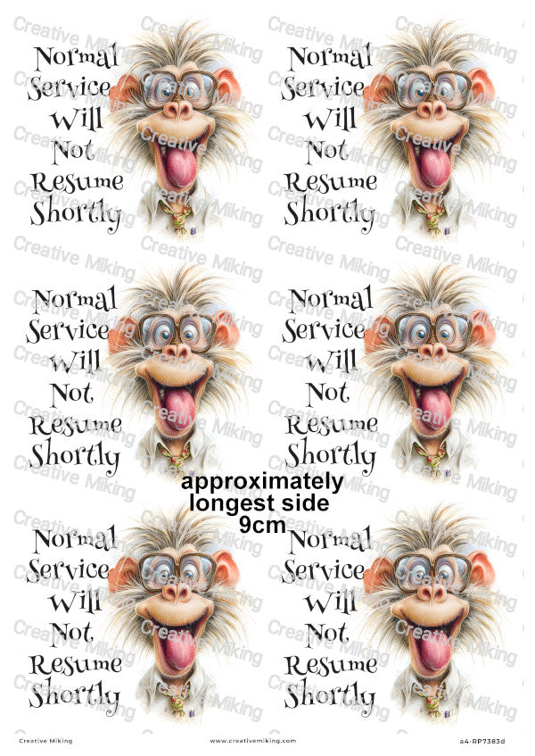 Silly Monkey Funny Decoupage Rice Paper | RP7383d