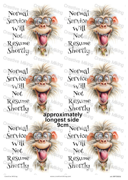Silly Monkey Funny Decoupage Rice Paper | RP7383d