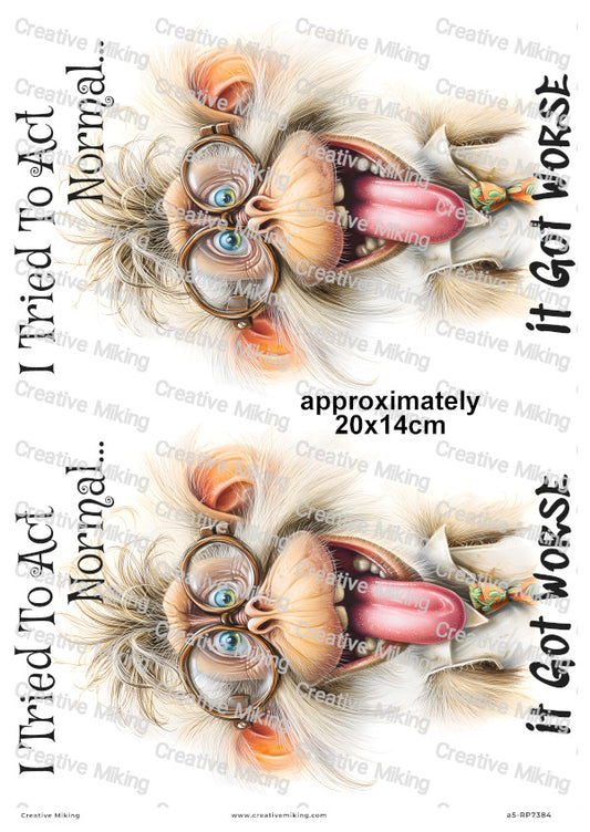 Silly Monkey Funny Decoupage Rice Paper | RP7384