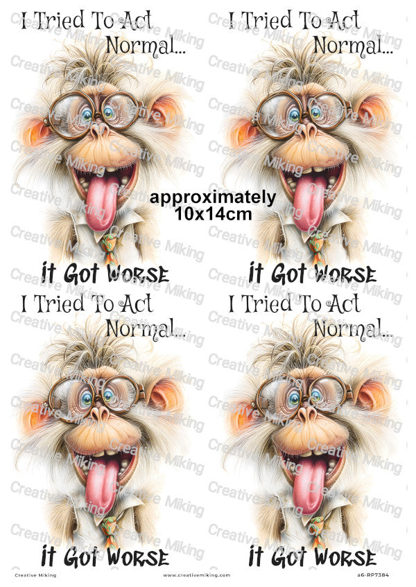 Silly Monkey Funny Decoupage Rice Paper | RP7384