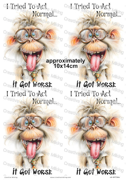 Silly Monkey Funny Decoupage Rice Paper | RP7384