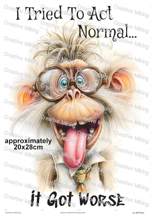 Silly Monkey Funny Decoupage Rice Paper | RP7384