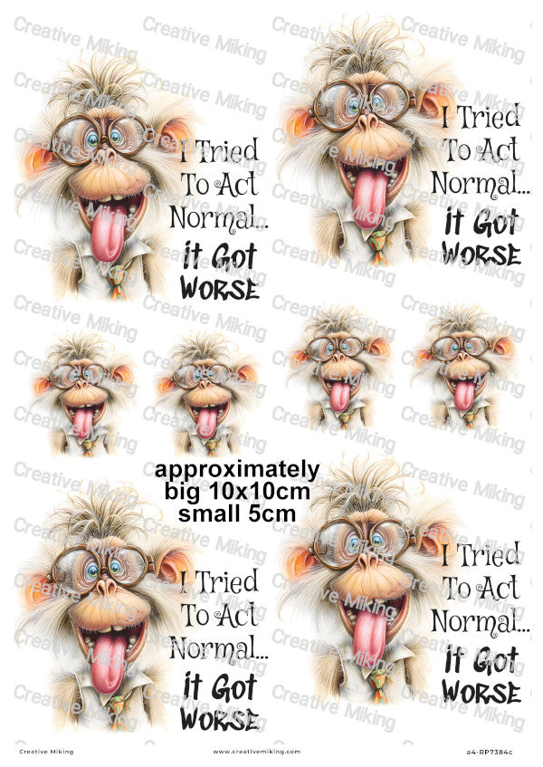 Silly Monkey Funny Decoupage Rice Paper | RP7384c